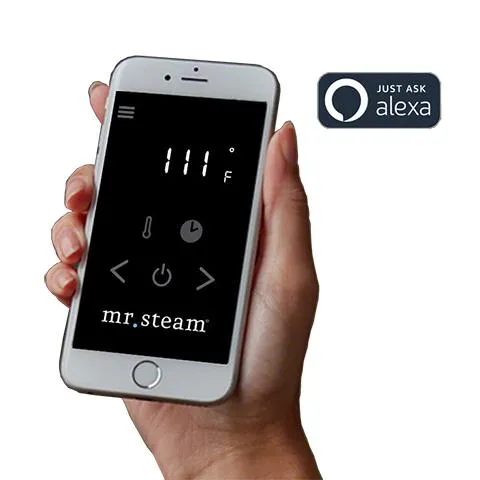 Mr.Steam SteamLinx System