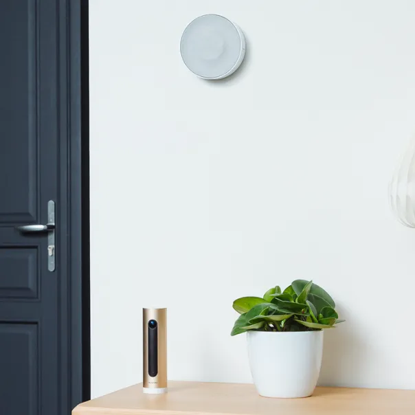 Netatmo Smart Indoor Siren