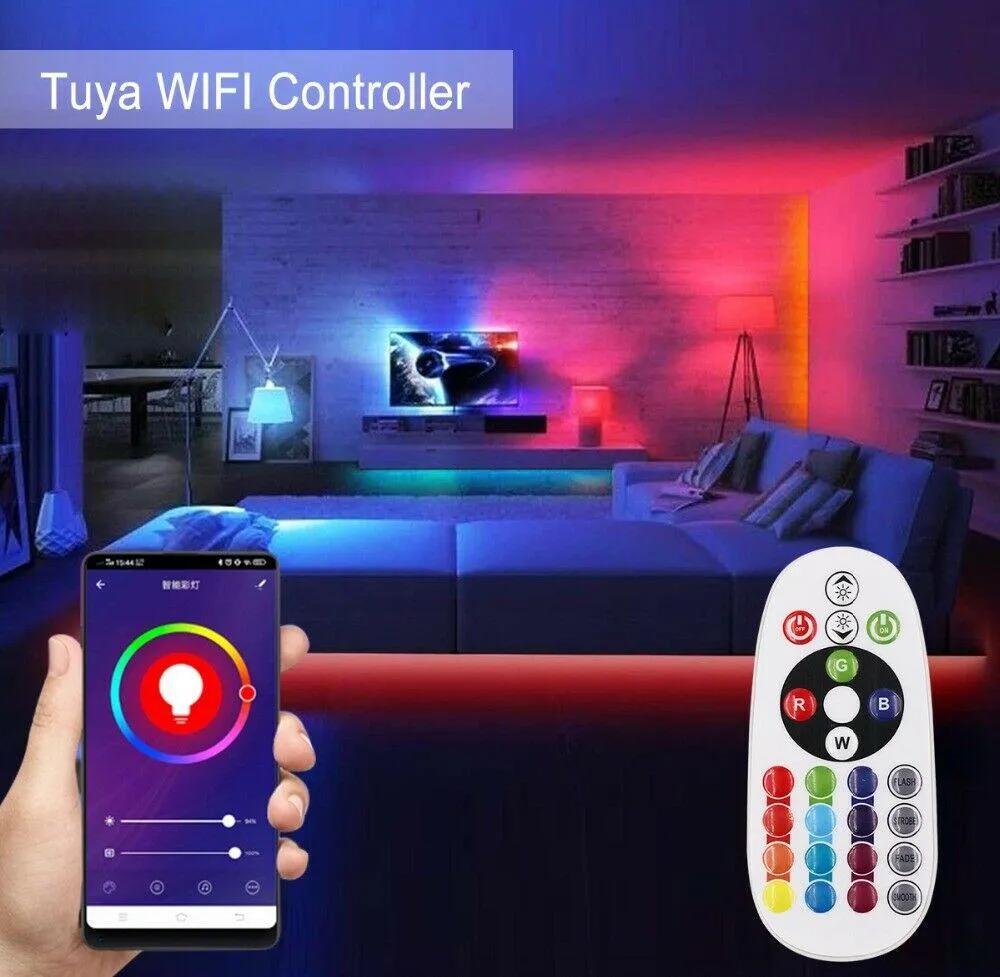 RGB LED Strip 220V 240V 60LEDs/m WiFi Tuya APP LED controller with 24key Remote