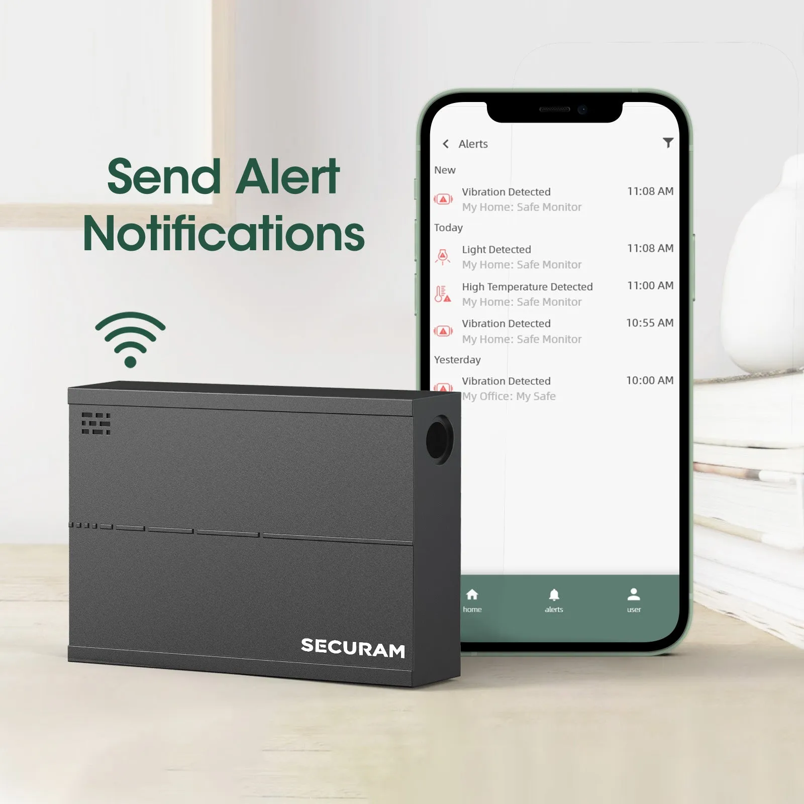 SECURAM Safe Monitor